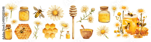 Honey cartoon set. Bees hive honeycomb jar yellow flower, sweetness natural wax chamomile rustic beekeeping natural nectar Vector illustration