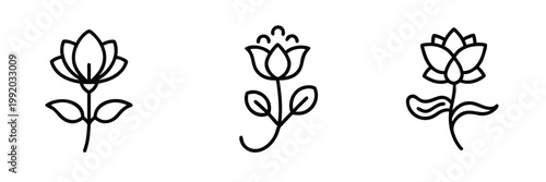 Blooming flower web line icons set lotus lily blossom garden nature petals spring web line icons set & more vector illustration on editable stroke