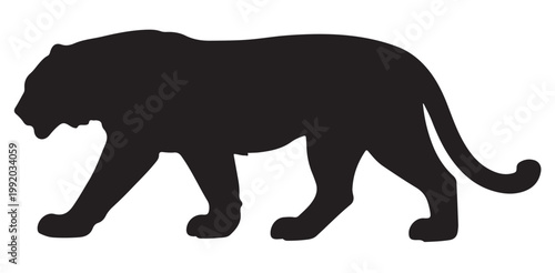 Tiger silhouette vector, walking big cat isolated on white background