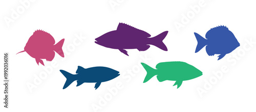 A vibrant collection of multicolored fish isolated on a clean white background.