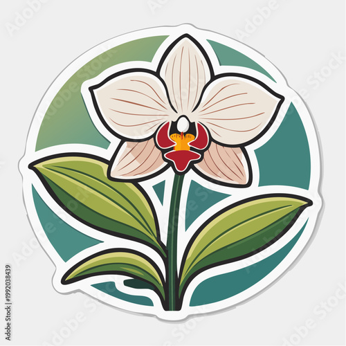 Stylized Orchid Flower Illustration