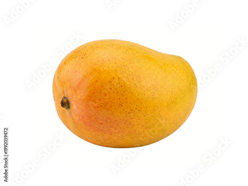 Billede på lærred Kesar mango isolated on white background.