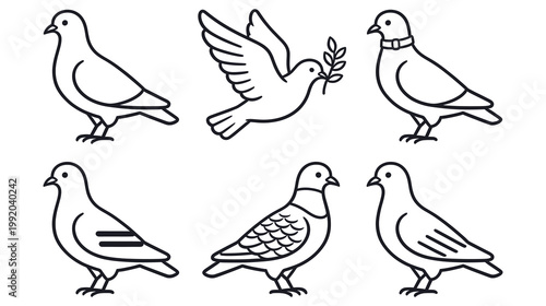 Collection of pigeon and dove outline icons showing different poses and symbols.