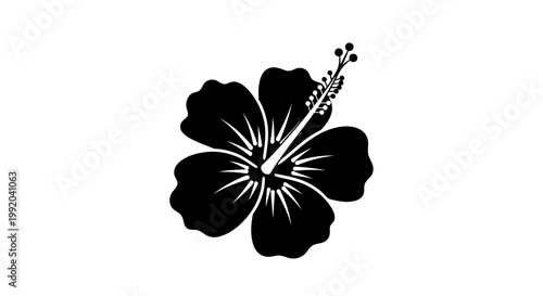 Black Hibiscus Flower Closeup View.