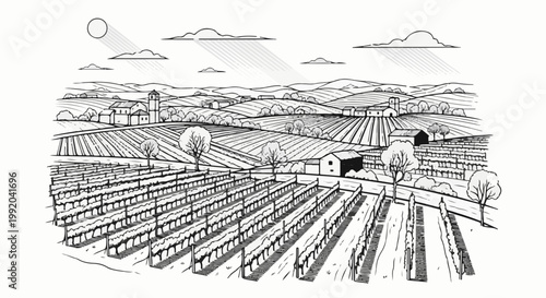 Rolling hills dotted with vineyards and small buildings under a sunny sky