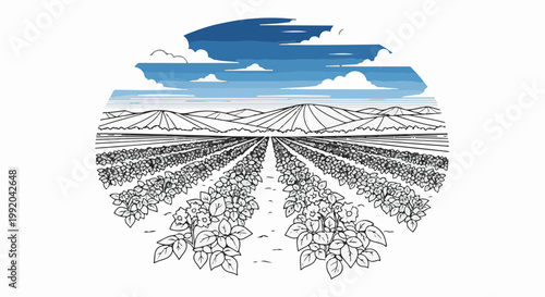 Perspective view of agricultural fields under a sky with clouds