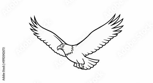 Outline of a majestic bird of prey in full flight