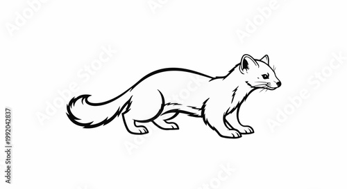 Outline of a slender, long-bodied animal with a bushy tail