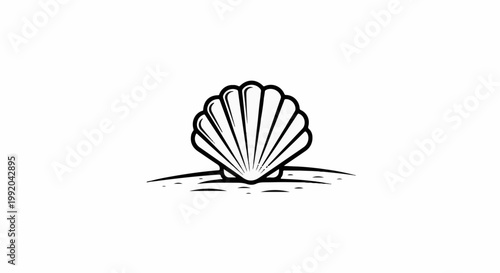 Simple line art illustration of a fan-shaped seashell resting on a sandy surface