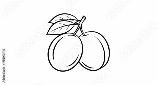Simple line art of two ripe plums on a stem with leaves
