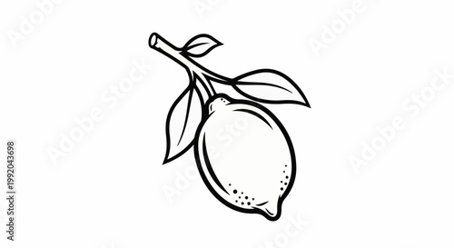 Simple line drawing of a single lemon on a branch with leaves