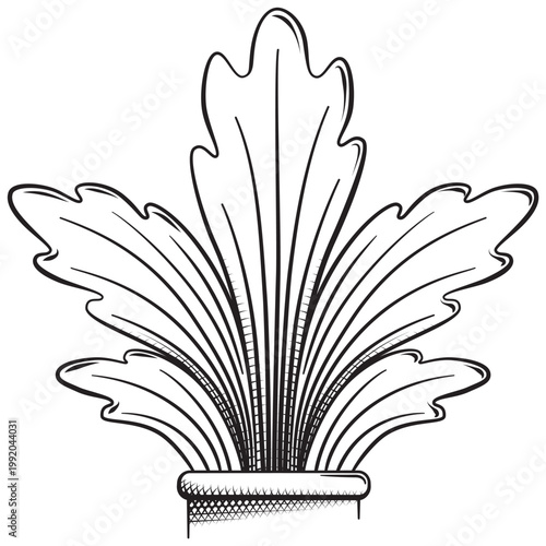 Ornamental drawing made with acanthus leaves. Black and white illustration of a detailed filigree made with acanthus leaves.
