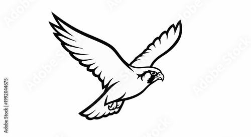 Silhouette of a falcon in mid-flight with wings spread open