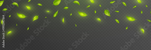 Green leaves air wind frame. Fresh mint wave. Leaf flying flow bg. Spring tree plant design. Eco tea banner. Swirl effect. 3d floral beauty nature background. Ecology. Vector illustration