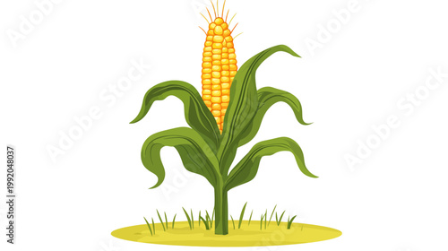 A vibrant illustration depicts a stalk of corn with a golden ear, surrounded by green leaves