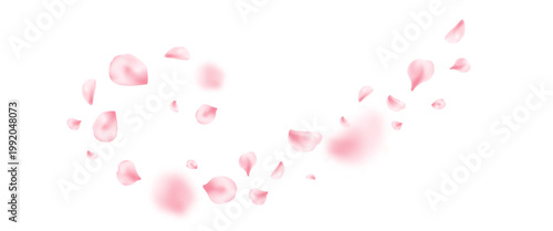 Spring cherry blossom wave. Sakura petal flying composition. Japan flower banner. Cosmetic beauty product. Natural decoration. Spa pink rose bg. Valentine romantic card. Vector illustration