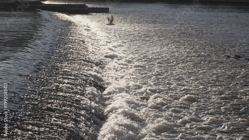 Slow motion of birds flying over a turbulent river weir with rushing foam.  flock of ducks glides low over the frothing white water of a river threshold.