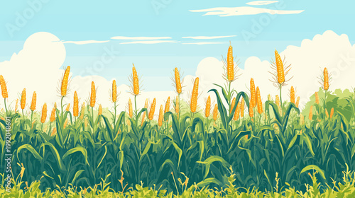 Illustration of a field of corn with bright yellow ears, green stalks, blue sky, and clouds