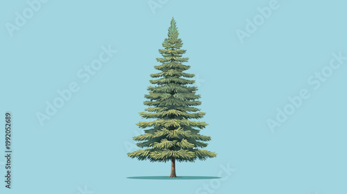 Digitally rendered evergreen tree, with detailed needles and trunk, against a soft-blue backdrop