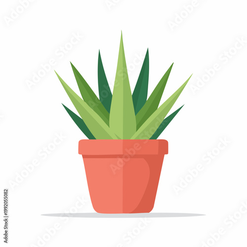 Flat illustration of a potted succulent plant