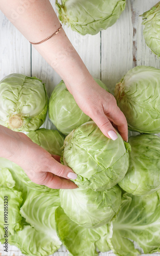 woman at the market chooses a head of young cabbage. Fresh vegetables. Vegetarian, vegan. Selective focus
