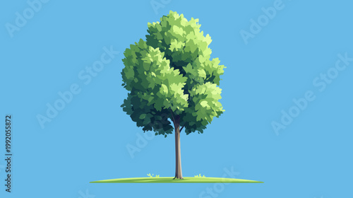 Digital illustration of a tree with a lush green canopy against a clear, blue sky backdrop