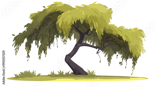 A stylized cartoon depiction of a weeping tree, with detailed leaves and a unique trunk shape