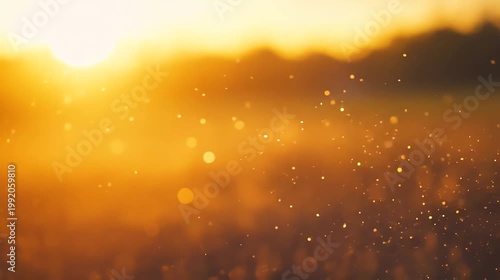 Golden sunlight bokeh abstract nature background warm light environment