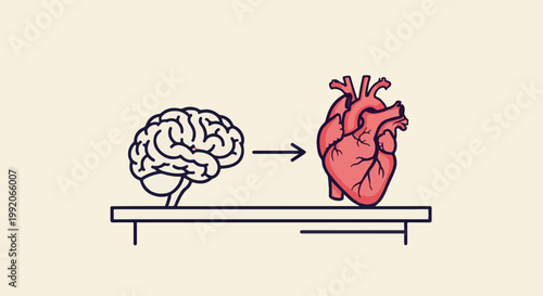 A line drawing of a brain connected by an arrow to a vibrant, detailed illustration of a human heart
