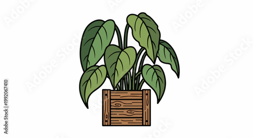 A lush green plant with large leaves stands tall in a wooden planter box