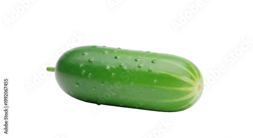 Vector illustration of fresh green cucumber on a transparent background