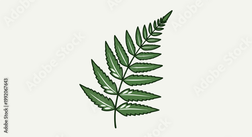 A green fern frond with serrated leaves and light green veins on a cream background