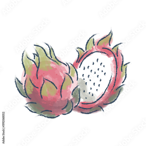 Dragonfruit vector illustration in a watercolor style, hand-drawn dragonfruit clipart for design projects