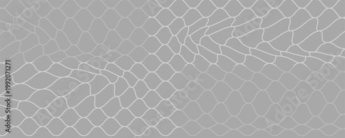 Tekstur jala untuk jaring ikan. Pola mulus untuk olahraga atau gol sepak bola, jaring voli, ring basket, hoki, atletik. Abstrak, sport, latar belakang mesh modern.	Print