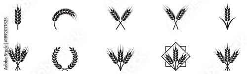 Wheat icon or wheat symbol. Barley spike or corn ear. Bakery, bread or agriculture logo concept. Line grain sign. Vector illustration. Vector Graphic. EPS 10	
