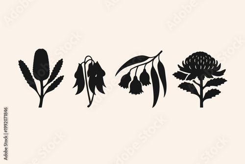 Minimalist vector illustration featuring four iconic Australian native flora silhouettes: Banksia, Waratah, Eucalyptus gum nuts, and Sturt's Desert Pea on a clean, neutral background.