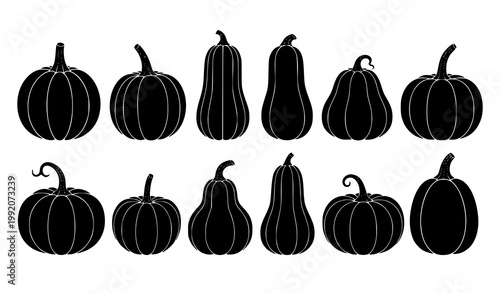 Pumpkin silhouette vector set with different autumn squash shapes isolated on white background