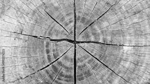 old wood texture