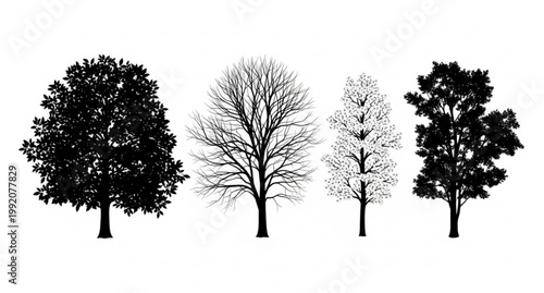 Seasonal tree silhouettes set black and white forest trees spring summer autumn winter vector