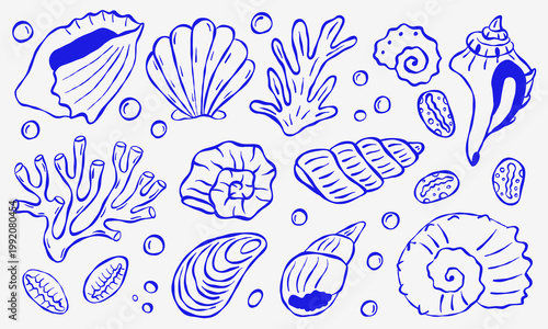 Hand drawn blue outline of ocean shells and coral