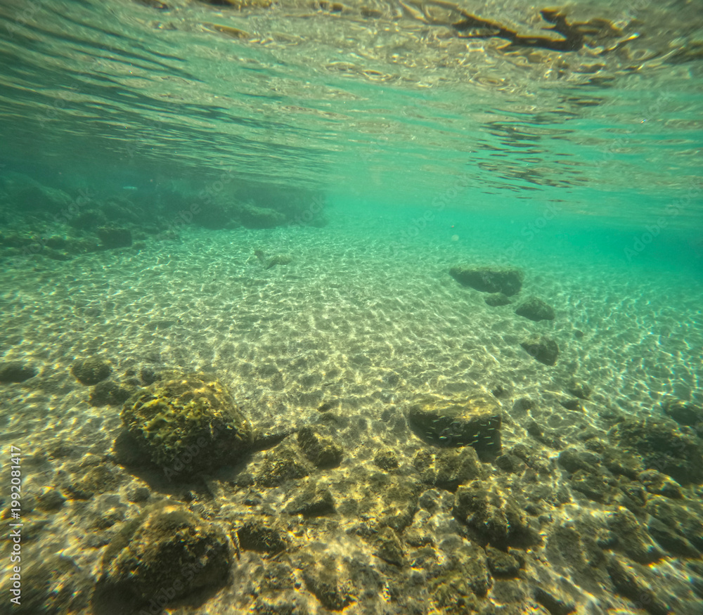 Fototapeta premium Underwater image of the waters of the Mediterranean Sea at the island of La Maddalena, a short distance from Palau in Sardinia, Italy