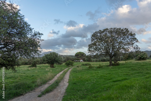 Slika na platnu Sardinia island summer 2024 Italy.   rural farm in Arzachena