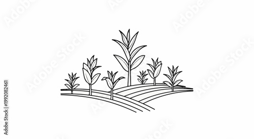 Stylized outline of a cornfield with rolling hills