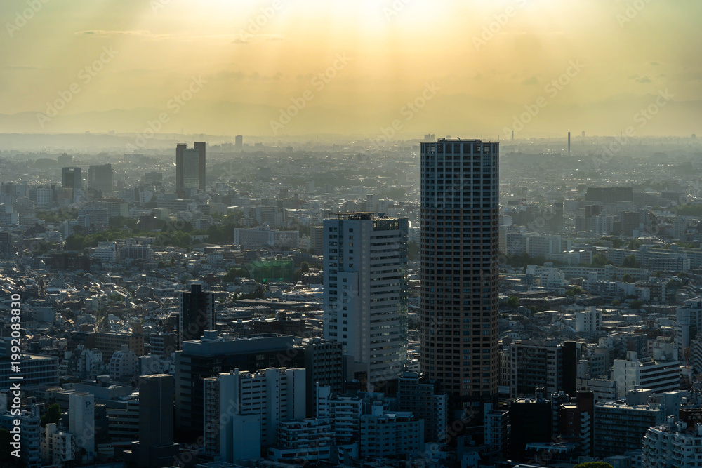 Fototapeta premium Hazy urban skyline under soft sunset light with atmospheric mood