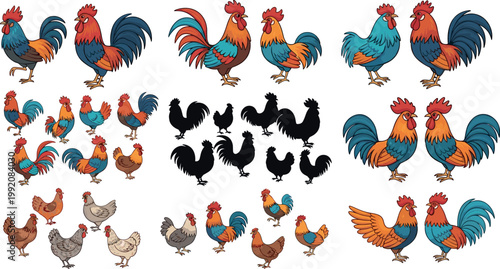 Rooster and chicken collection with silhouettes and colorful breeds farm poultry animals isolated vector illustration set