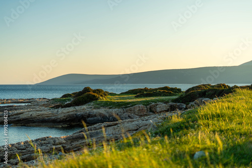 Bild auf Leinwand Golden hour illuminates a rocky coastline with lush green grass and calm blue se
