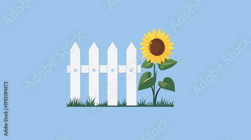 A cartoon illustration of a sunflower next to a white picket fence on a blue background