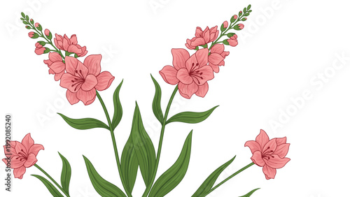 Beautiful illustration of pink snapdragon flowers with green stems and buds arranged symmetrically on a white background for floral designs.