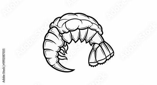 Stylized black and white drawing of a curled shrimp tail on a white background