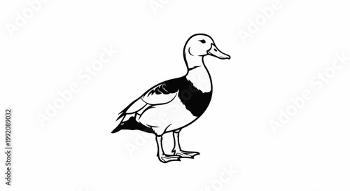 Stylized black and white illustration of a single duck standing alertly